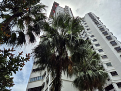 Blk 289D Nature View (Bukit Batok), HDB 5 Rooms #505699041